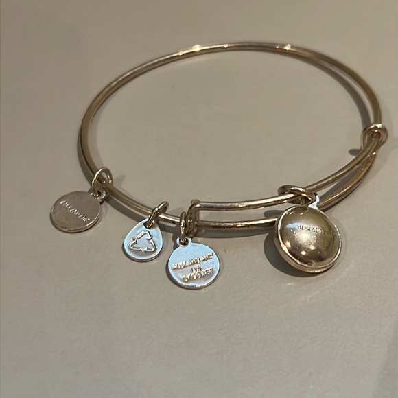 Alex and ani bracelet - Picture 3 of 3